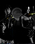 Click for larger photo of Linzi Stoppard